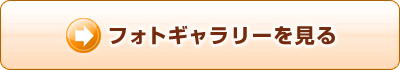 tHgM[