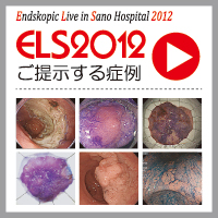 ELS2012񎦂Ǘ